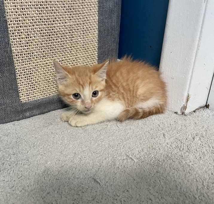 Photo of Sammy