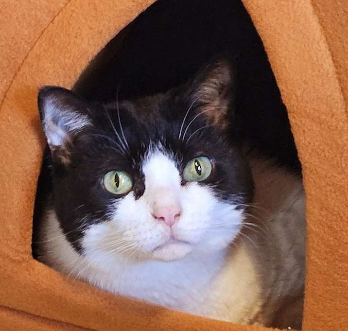 Photo of Binxi