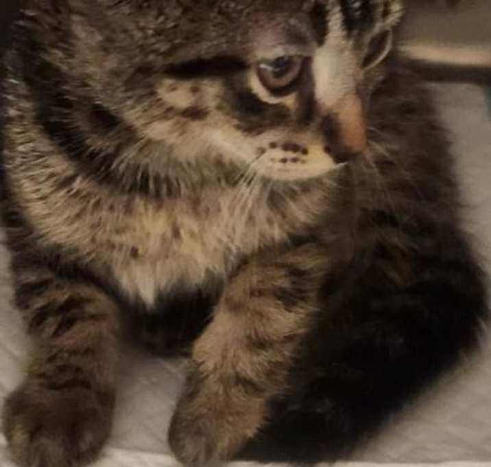 Photo of Duchess TCR 25/26 8/29/25