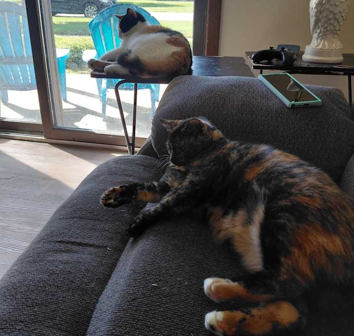 Photo of Cally and Hazel