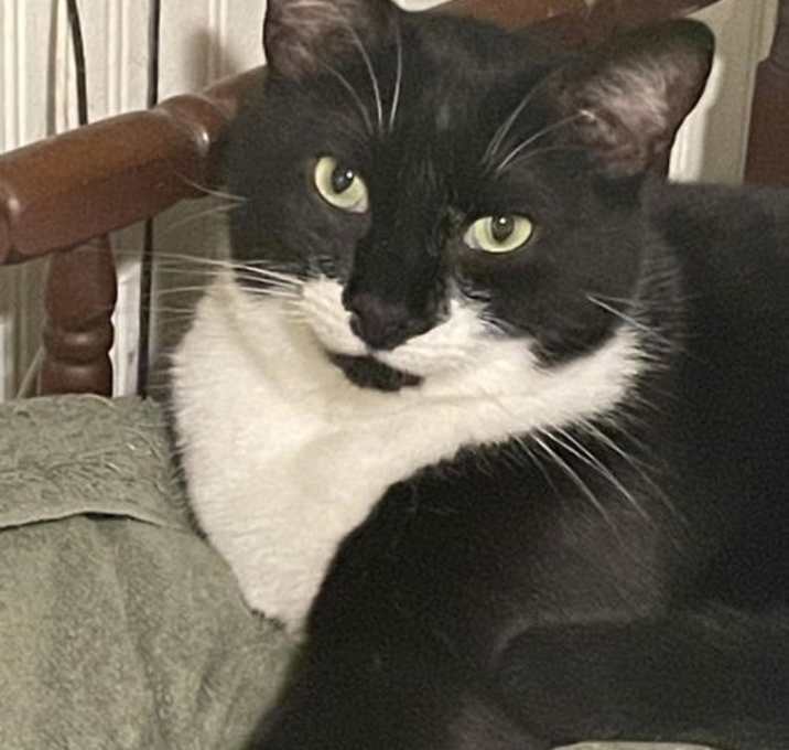 Photo of Jasper