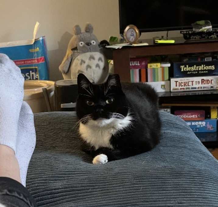 Photo of Penelope Pussycat