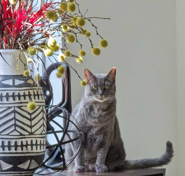Photo of Izzy