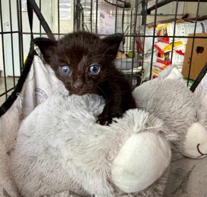 Photo of Spooky