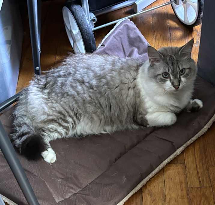 Photo of George