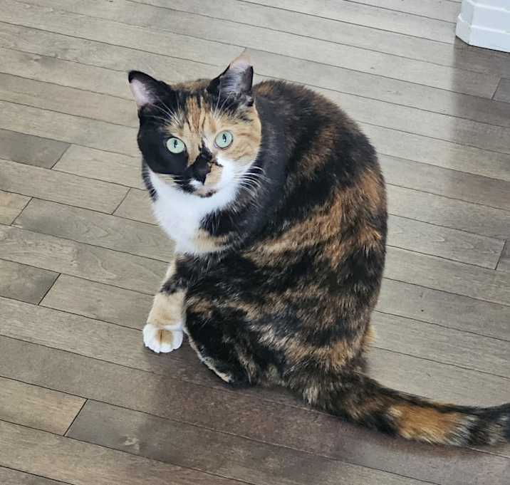 Photo of Yumi