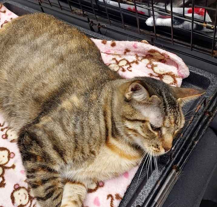 Photo of Raighan (Mom)