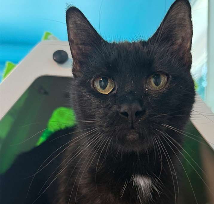 Photo of Maisy