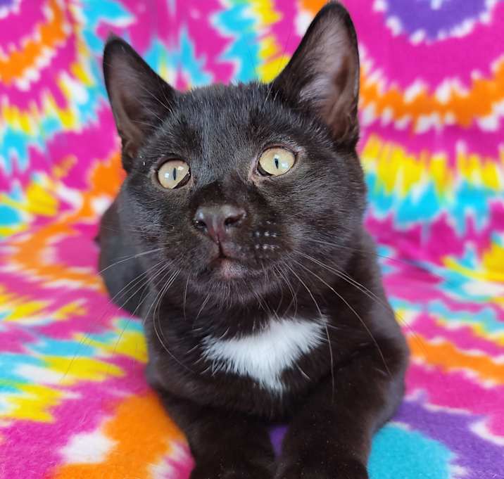 Photo of Scuba Steve