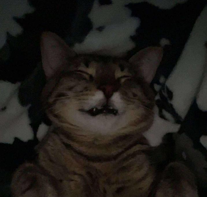 Photo of Bobby