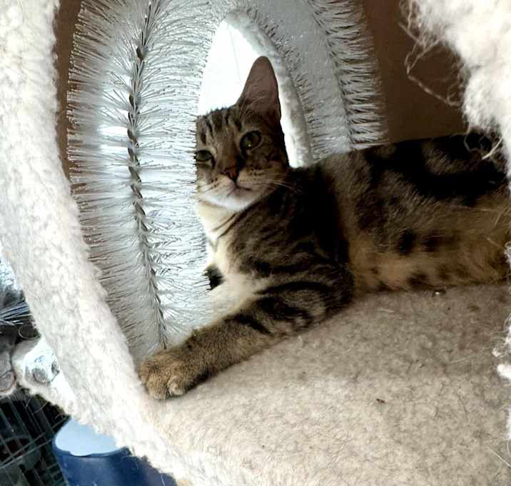Photo of Bridget