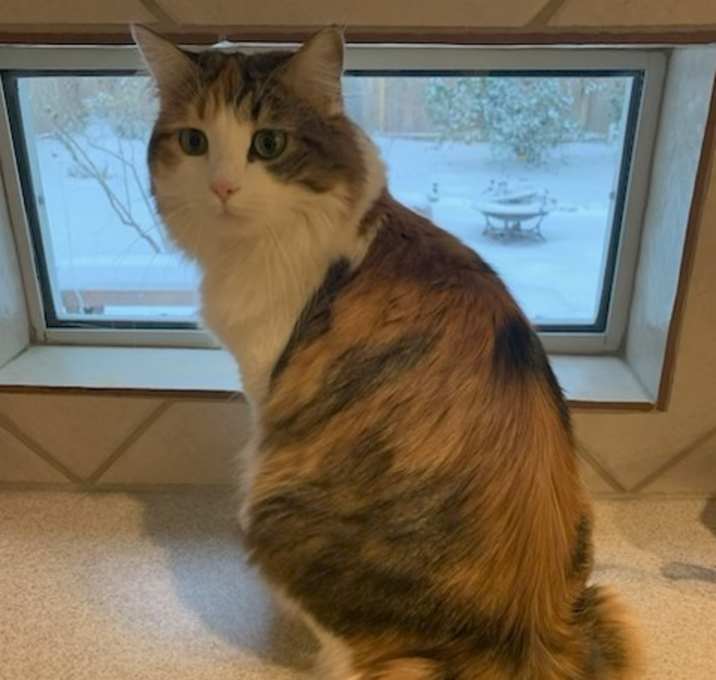 Photo of Lucy