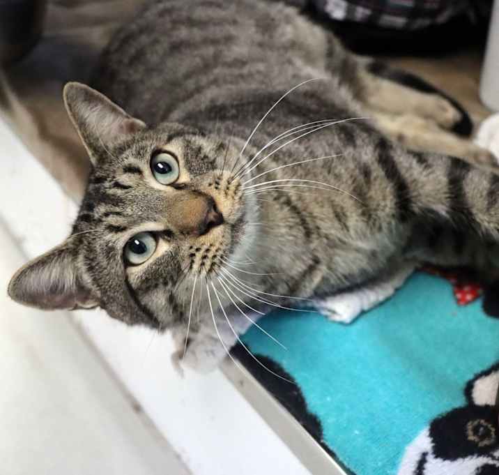 Photo of Kevin