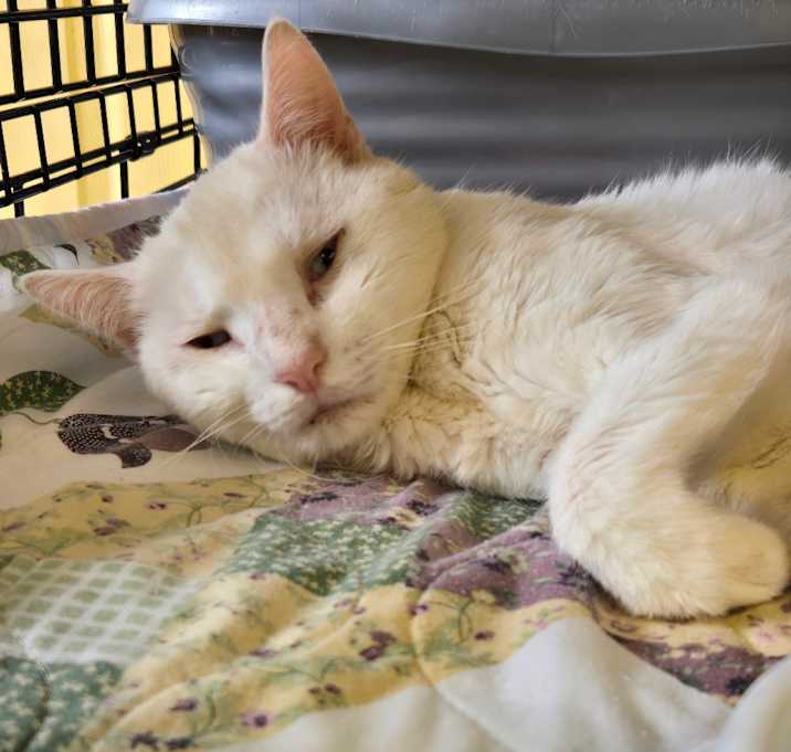 Photo of Mrs. Snowman