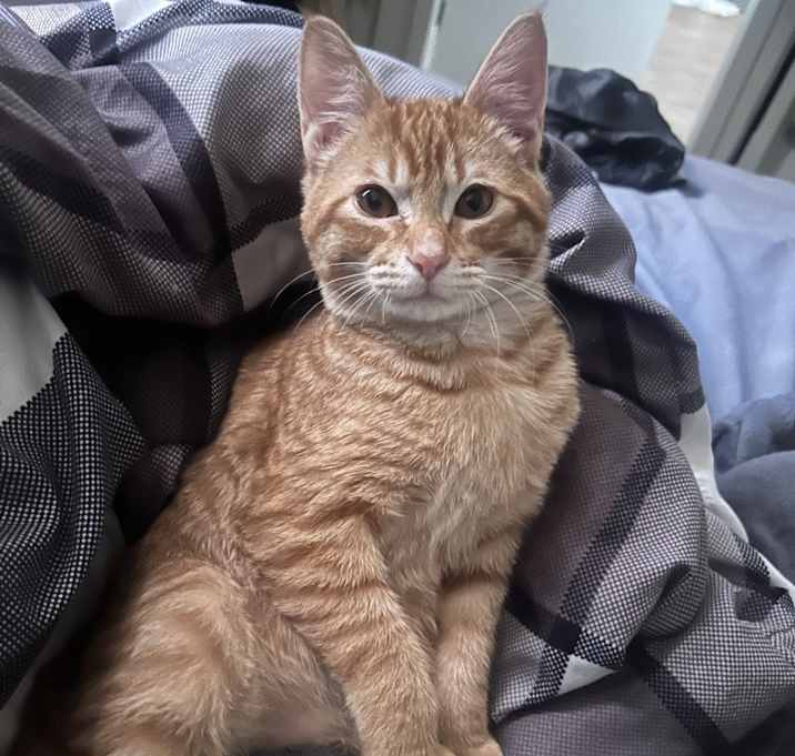 Photo of Diego