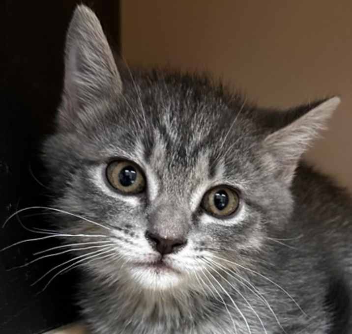 Photo of The Bunnery