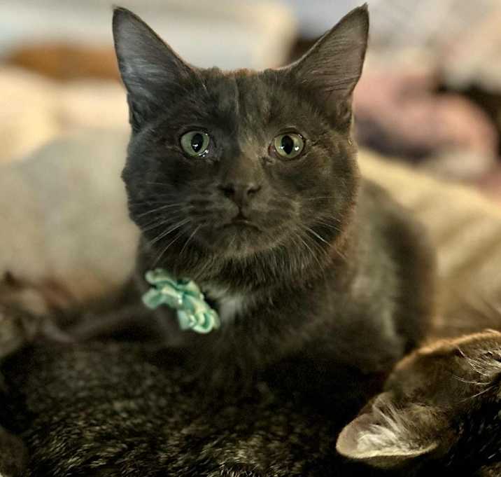 Photo of Freya3
