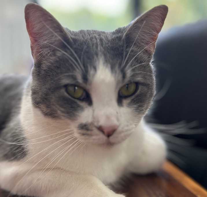 Photo of Tabitha aka Karen