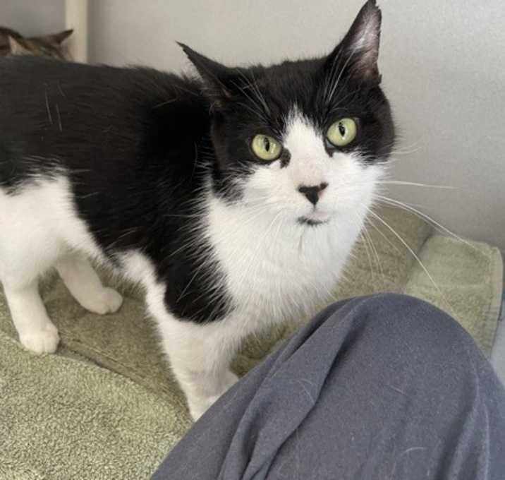 Photo of Rose & Blanche