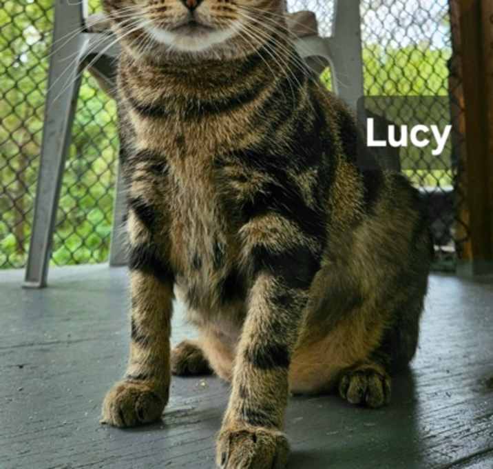 Photo of Lucy