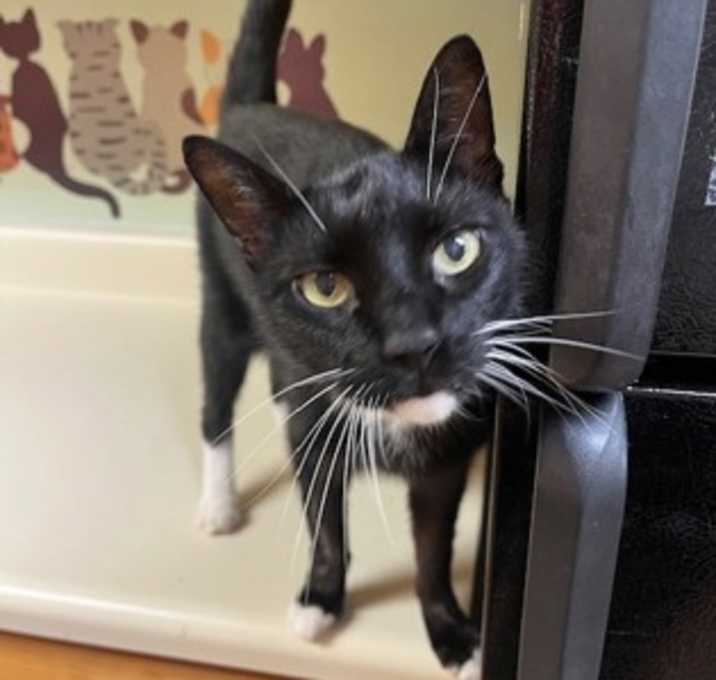 Photo of Mr. Business