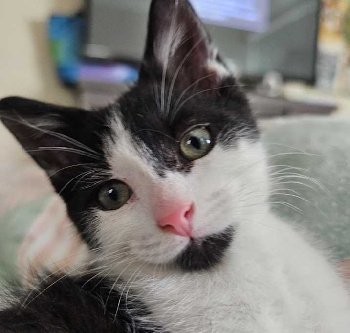 Photo of Seymour