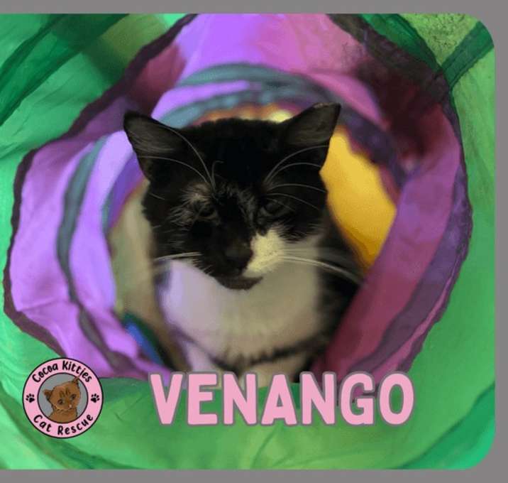Photo of Venango