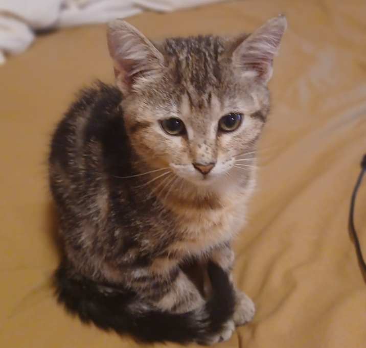 Photo of Levi