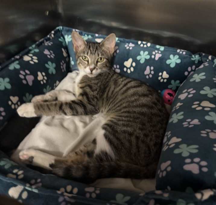 Photo of MITZI