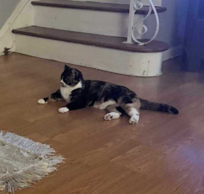 Photo of Flefi