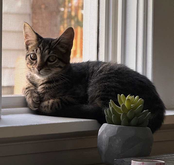 Photo of Spicy Peanut-Foster