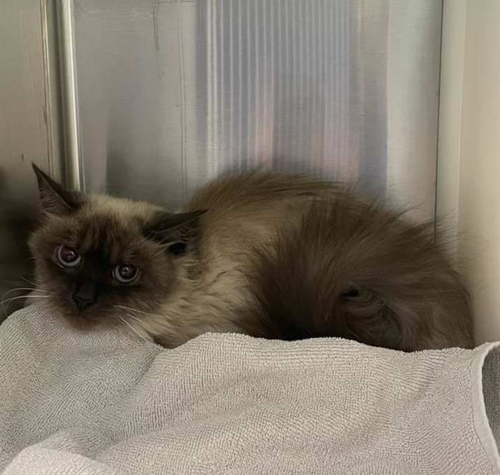 Photo of CIRRUS