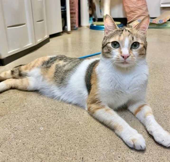 Photo of Sally (& Tony) bonded