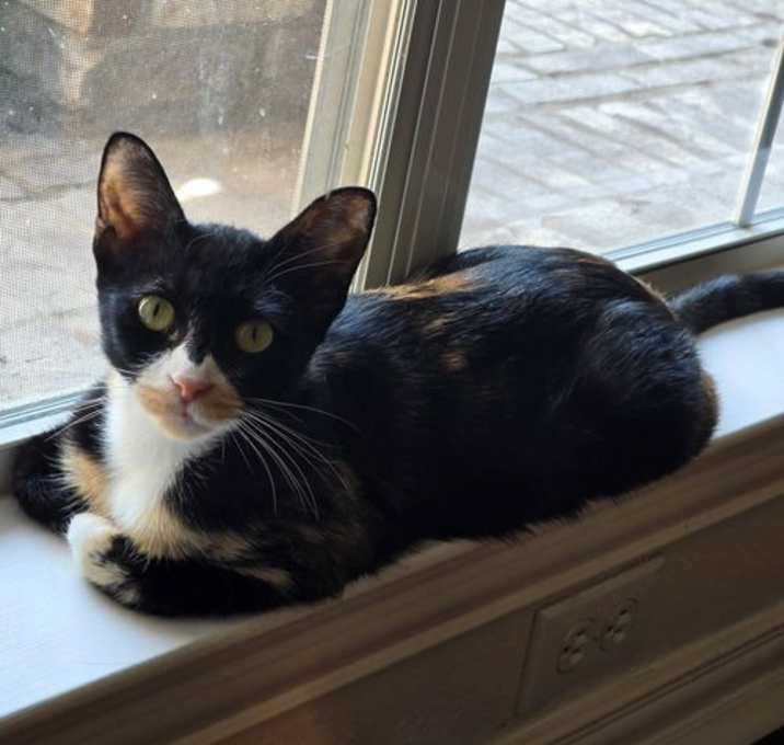 Photo of Laci