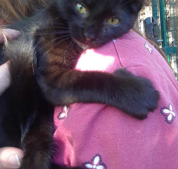 Photo of Frankenstein