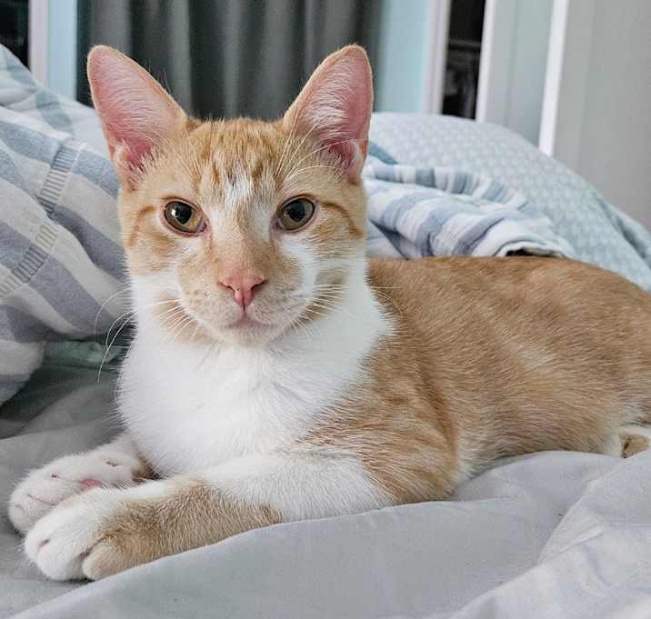 Photo of Haymitch Abernathy