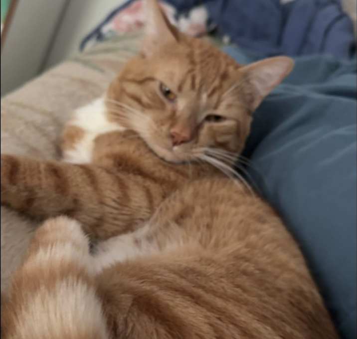 Photo of Flash