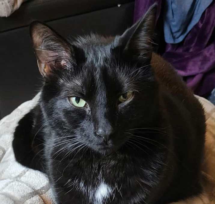 Photo of Sid