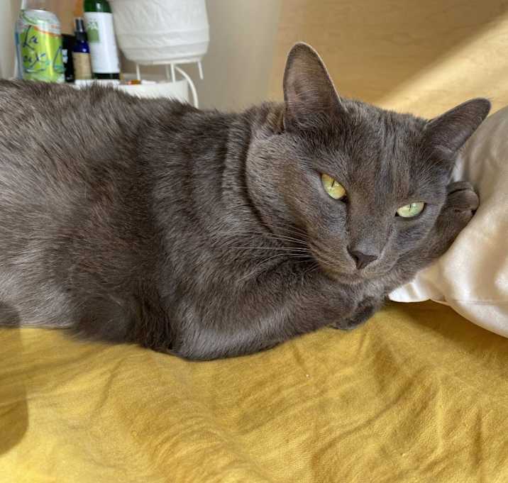 Photo of Blue