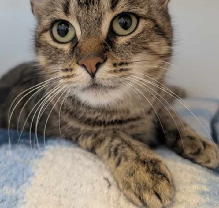 Photo of Lola