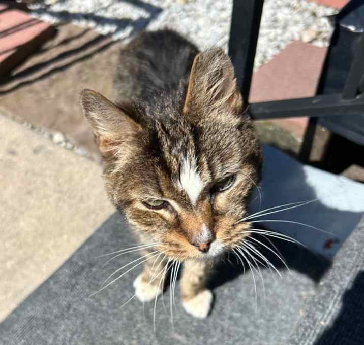 Photo of Clause