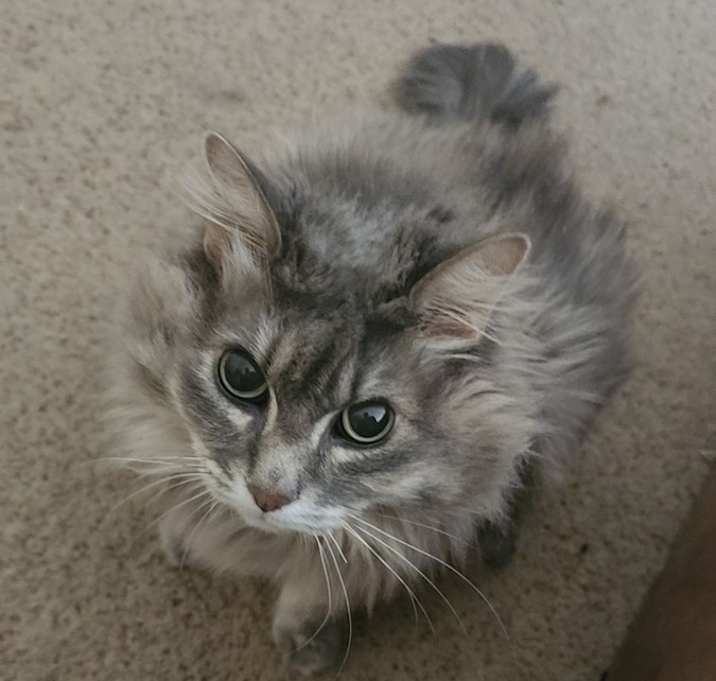 Photo of TC