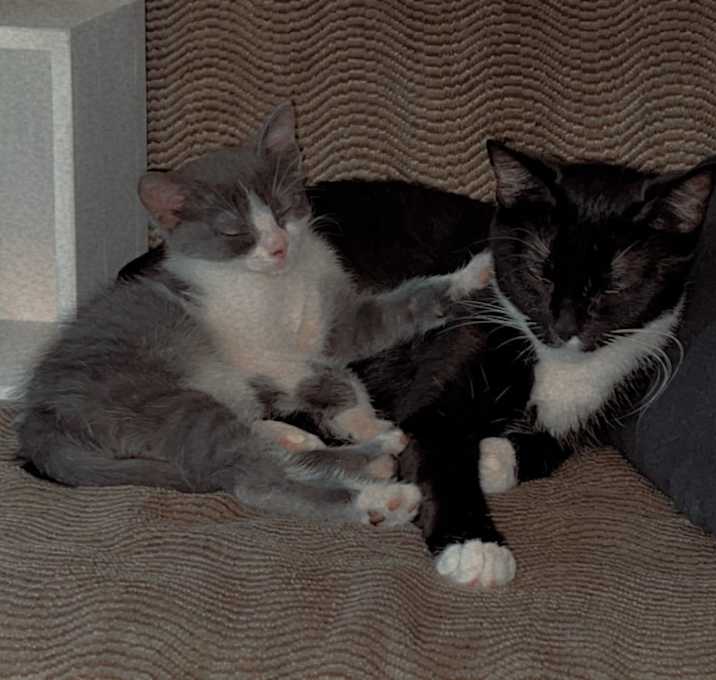 Photo of Mia