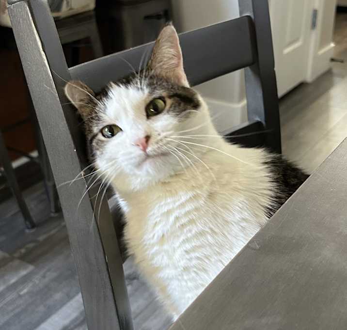 Photo of Cleopatra