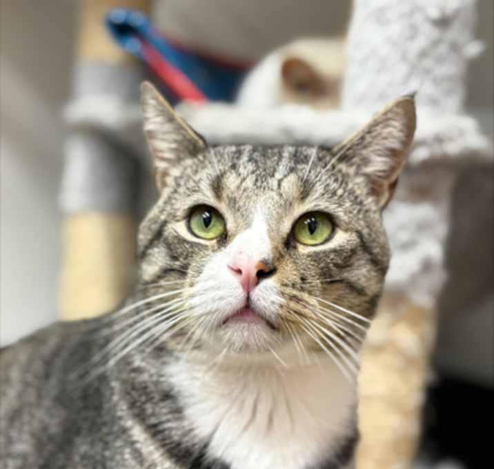 Photo of Furrnando