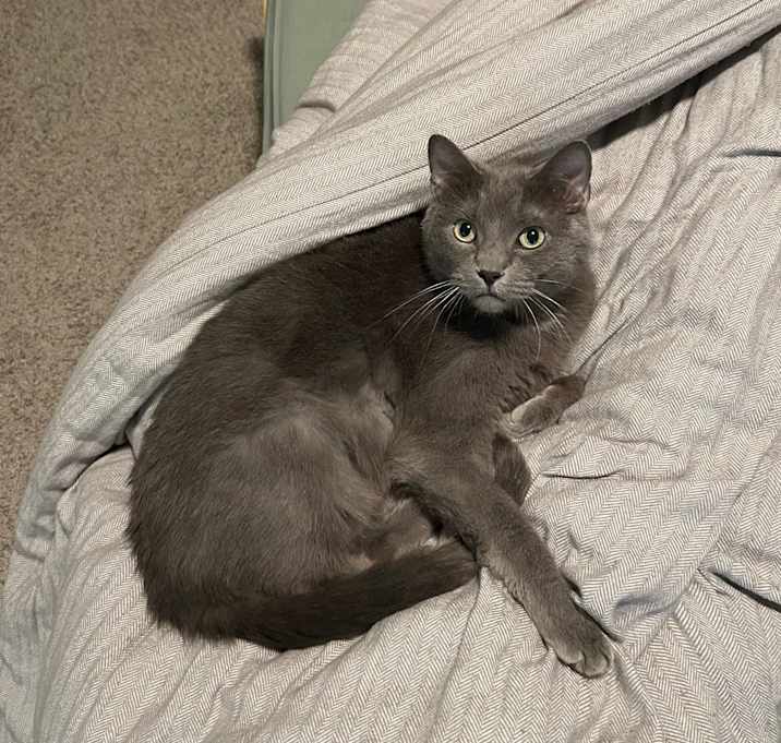 Photo of Luna