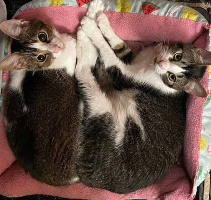 Photo of Jenna and Jayla