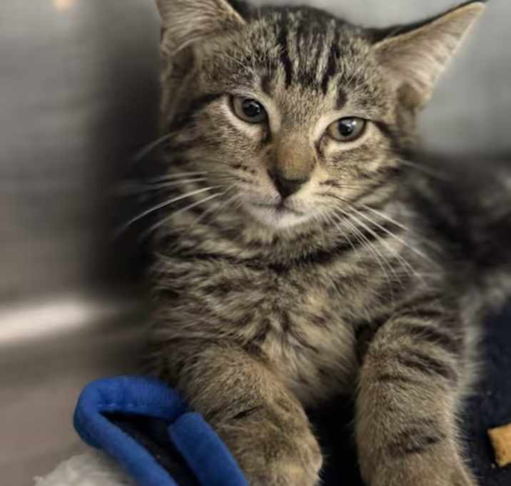 Photo of Mr. Fantastic