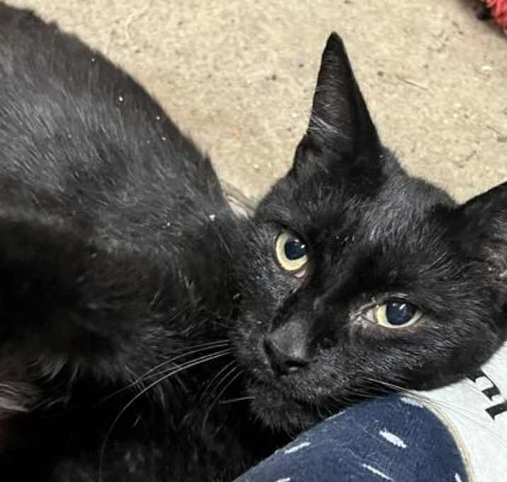 Photo of Ellie Mac sf