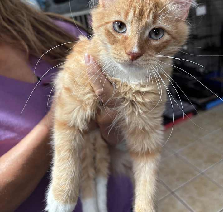 Photo of MAX (& ALBIE)